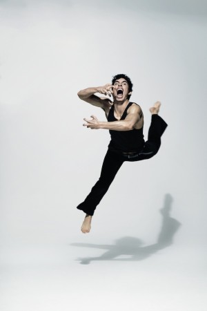 2014 Adelaide Festival line-up announced